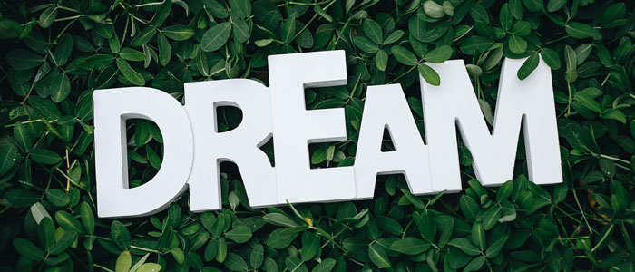 dreams02