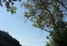 મથરાવટી થોડીઘણી મેલી હોય તે સારું કહેવાય કે ખરાબ? : સૌરભ શાહ