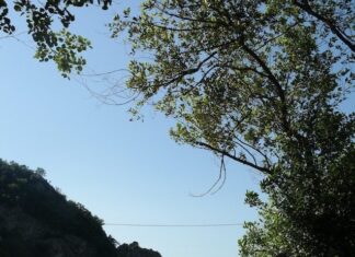 મથરાવટી થોડીઘણી મેલી હોય તે સારું કહેવાય કે ખરાબ? : સૌરભ શાહ