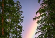 જે ટકે છે તે તમારું સૌજન્યભર્યું અને સત્ત્વશીલ સર્જન-કર્મ જ ટકે છે : સૌરભ શાહ