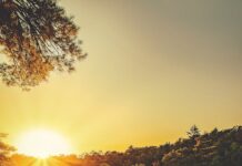 હમારી પાસે સ્વતંત્રતા મોટું ધન છે જેની આગળ ખુશામત ધન કંઈ જ નથી’ : સૌરભ શાહ