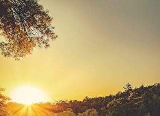 હમારી પાસે સ્વતંત્રતા મોટું ધન છે જેની આગળ ખુશામત ધન કંઈ જ નથી’ : સૌરભ શાહ