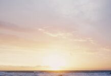 એક પ્લમરનો કર્મફળત્યાગ- સૌરભ શાહ