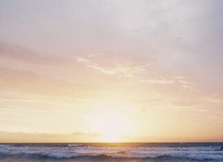 એક પ્લમરનો કર્મફળત્યાગ- સૌરભ શાહ