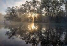 શું દ્રૌપદીને ખરેખર પાંચ પતિ હતા? : સૌરભ શાહ