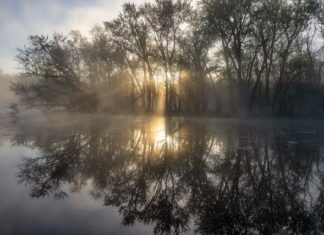 શું દ્રૌપદીને ખરેખર પાંચ પતિ હતા? : સૌરભ શાહ