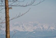 દુનિયા તમને સીધી લાઈને લઈ જવા માગે પણ તમે આડી લાઇને જતા રહો ત્યારે: સૌરભ શાહ