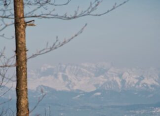 દુનિયા તમને સીધી લાઈને લઈ જવા માગે પણ તમે આડી લાઇને જતા રહો ત્યારે: સૌરભ શાહ