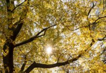 સાચા હો ત્યારે દાદાગીરીનું લાઇસન્સ મળી જતું નથી અને અન્યાય થતો હોય ત્યારે દર વખતે જંગ છેડવાની જરૂર હોતી નથી : સૌરભ શાહ