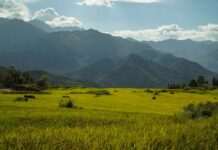 માઈન્ડને કંટ્રોલ કરી શકાય? – સૌરભ શાહ