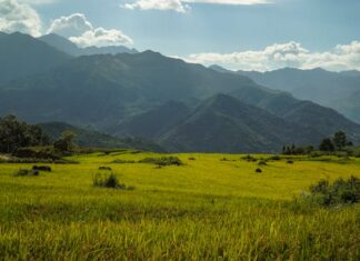 માઈન્ડને કંટ્રોલ કરી શકાય? – સૌરભ શાહ