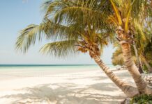 પબ્લિક ડિમાન્ડ મુજબ સપ્લાય આપવો કે પછી સ્વાન્ત: સુખાય કામ કરવું: સૌરભ શાહ