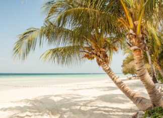 પબ્લિક ડિમાન્ડ મુજબ સપ્લાય આપવો કે પછી સ્વાન્ત: સુખાય કામ કરવું: સૌરભ શાહ