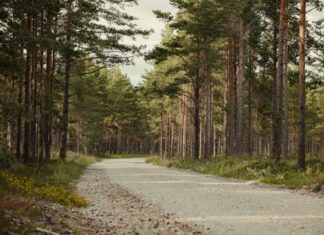 ગમતા માણસોનાં અપલક્ષણો: કુંભારને ટકોરો મારવાનો કે માટલાને: સૌરભ શાહ