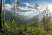 ‘મા, જો શું લાવ્યો તારા માટે’ એવું સાંભળીને કુંતીએ શું કહ્યું? : સૌરભ શાહ