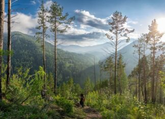 ‘મા, જો શું લાવ્યો તારા માટે’ એવું સાંભળીને કુંતીએ શું કહ્યું? : સૌરભ શાહ