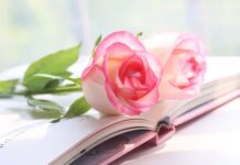 કવિ કહે છે–ડાઘ ક્યાંથી આટલા લાગી ગયા, જિંદગી હમણાં જ મેં રંગી હતી:સૌરભ શાહ