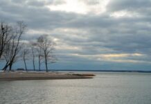 આરામ એ આળસ નથી :૨૦૨૬ની સાલમાં કેટલા બિઝી રહેવું : સૌરભ શાહ