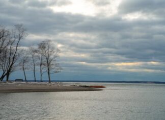 આરામ એ આળસ નથી :૨૦૨૬ની સાલમાં કેટલા બિઝી રહેવું : સૌરભ શાહ