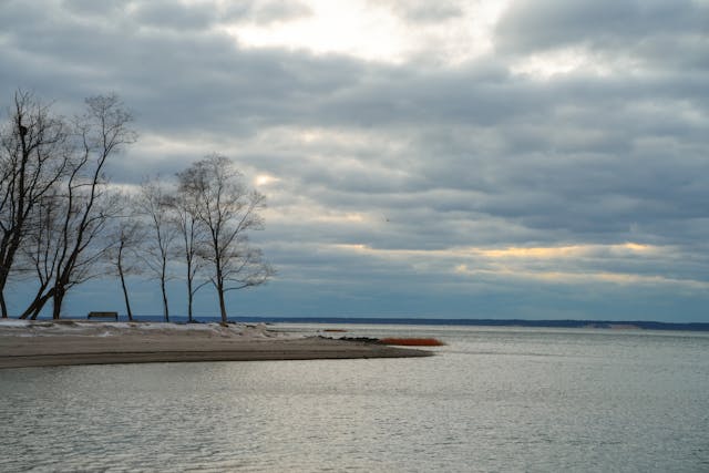 pexels-cara-denison-886614634-35446703