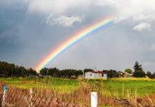 બદલાતી ઋતુઓ અને બારમાસી લોકો: સૌરભ શાહ