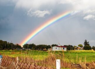 બદલાતી ઋતુઓ અને બારમાસી લોકો: સૌરભ શાહ