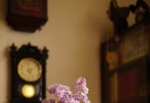 આવતી કાલ માટેની સ્મૃતિઓ આજે બનાવીએ – સૌરભ શાહ