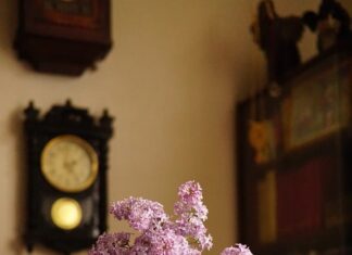 આવતી કાલ માટેની સ્મૃતિઓ આજે બનાવીએ – સૌરભ શાહ