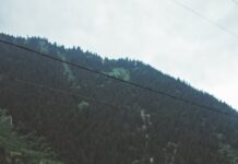 ભૂતકાળના અફસોસો અને ભવિષ્યનાં સપનાંઓની વચ્ચે શું છે? :સૌરભ શાહ