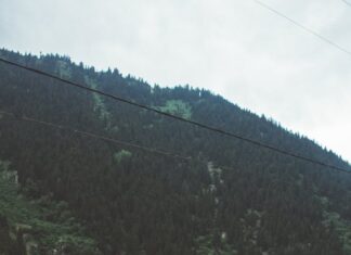 ભૂતકાળના અફસોસો અને ભવિષ્યનાં સપનાંઓની વચ્ચે શું છે? :સૌરભ શાહ