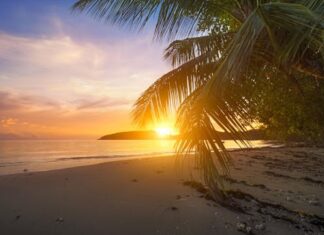 ઘર કોણે સાચવવું? કમાવા કોણે જવું? – સૌરભ શાહ