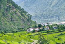 સુખી થવું તમારા તાબામાં નથી, દુ:ખી ન થવું તમારા કાબૂમાં છે – સૌરભ શાહ