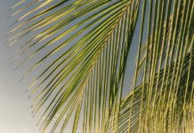 નેગેટિવ લોકોથી બચવા શું કરવું :સૌરભ શાહ