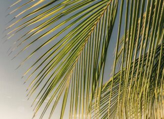 નેગેટિવ લોકોથી બચવા શું કરવું :સૌરભ શાહ