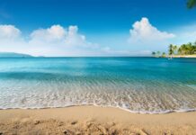 આશ્ચર્યચિહ્નોનો વરસાદ- સૌરભ શાહ