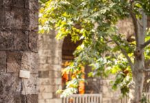 મિડલ કલાસ માણસ સતત દીવાસ્વપ્નો જોતો રહે અથવા પોતાના જીવનને કોસતો રહે : સૌરભ શાહ