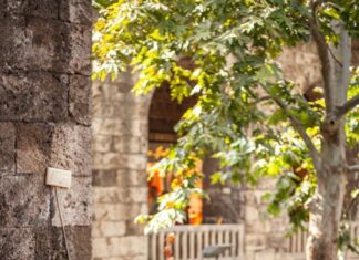 મિડલ કલાસ માણસ સતત દીવાસ્વપ્નો જોતો રહે અથવા પોતાના જીવનને કોસતો રહે : સૌરભ શાહ